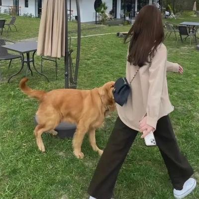 恋情告急
